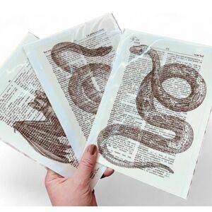 SNAKES & BAT Theme - Upcycled Dictionary Art Prints - Lot of 3 - Mini Poster Set
